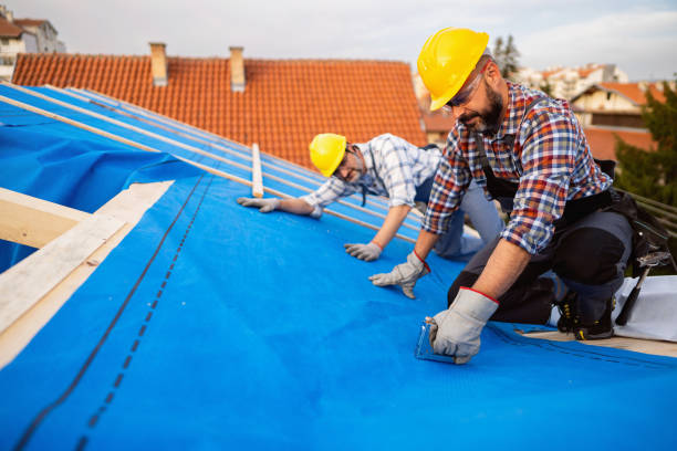 Roof Gutter Cleaning in Coeburn, VA